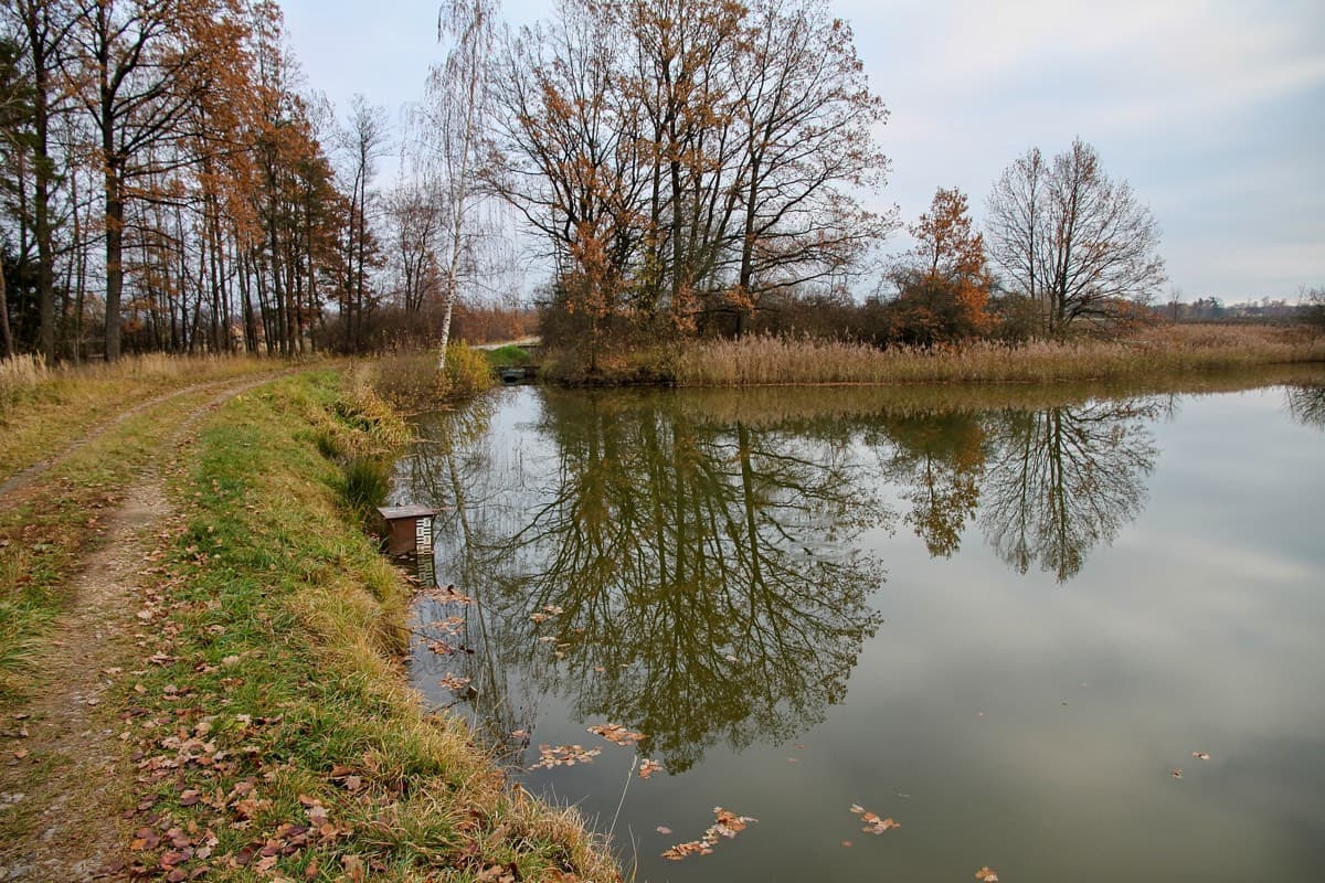 Jihočeský rybník obklopený stromy v podzimních barvách